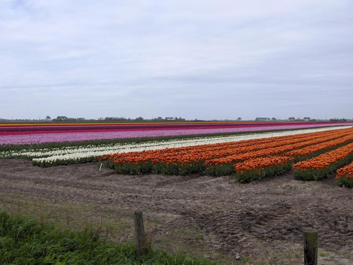 Barsingerhorn Het Burgemeestershuis B&B 외부 사진